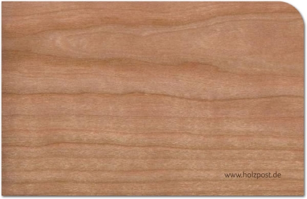 Holzpost® Grußkarte Wald Frohe Weihnachten