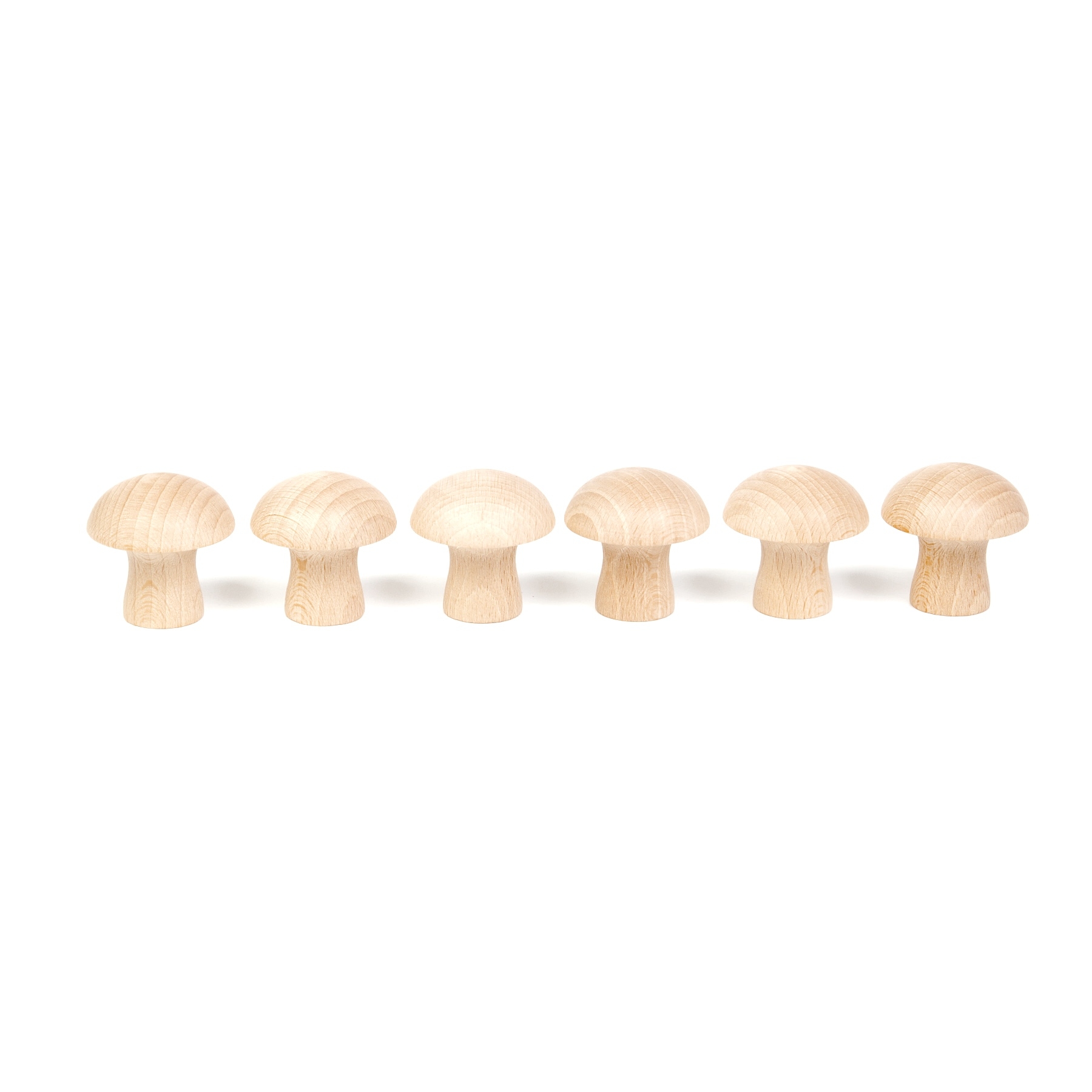 Grapat 6 Pilze natur