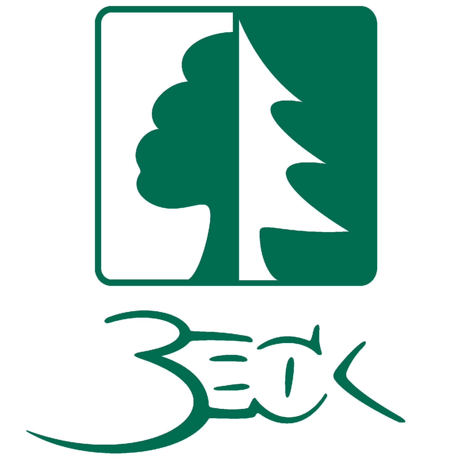 Beck Holzkugeln bunt 45 mm (5er Set)