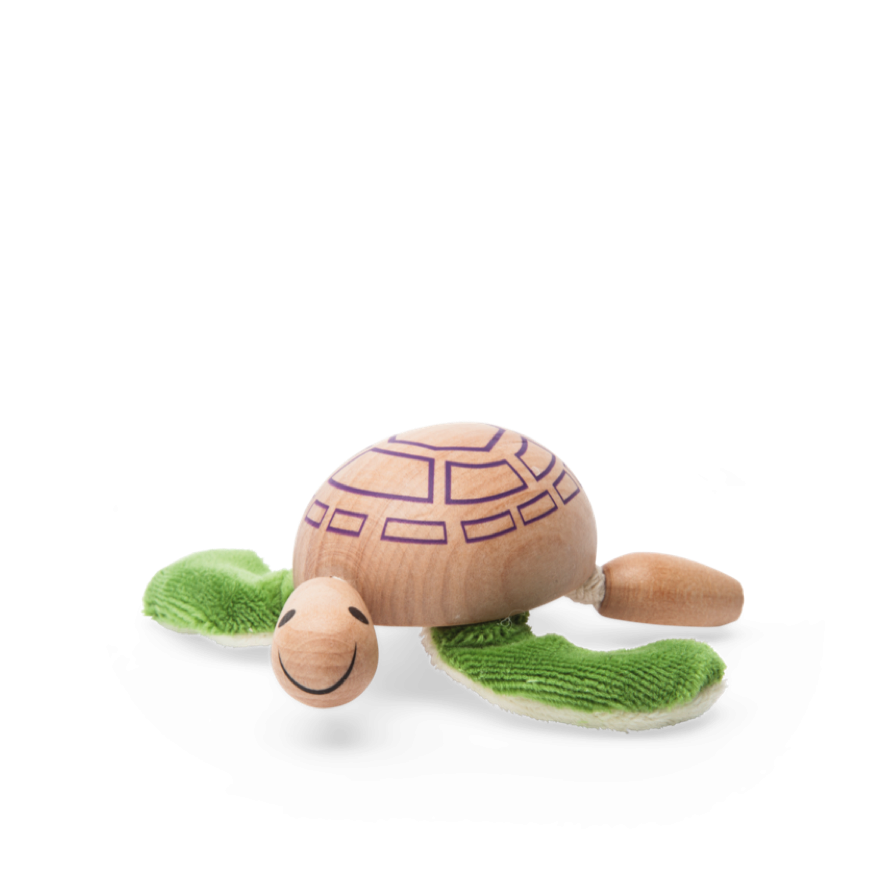 anaMalz Schildkröte