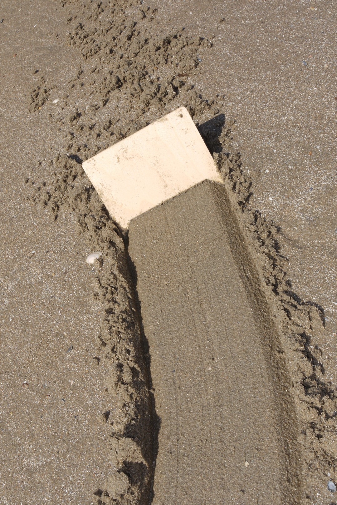 Speelbelovend Sandkämme (5er Set)