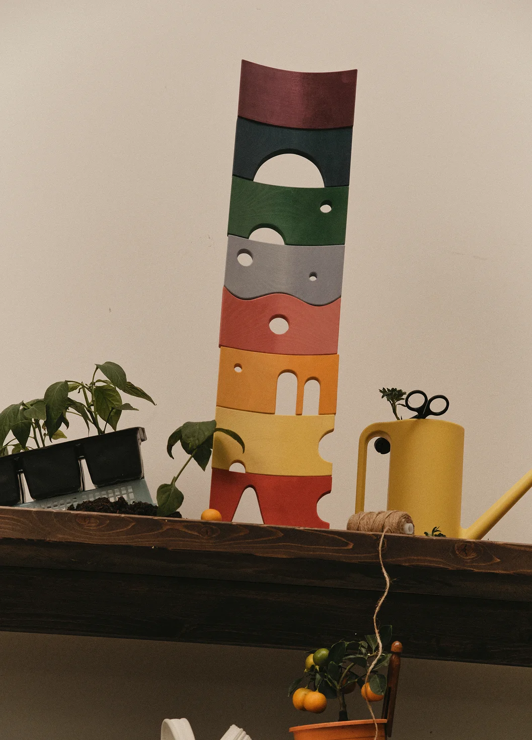 TOYTO Storyboard Rainbow