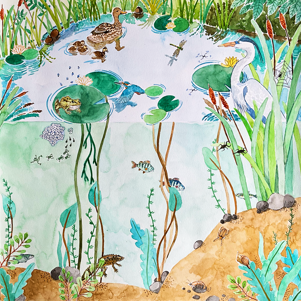 Wonderie Spieltuch Down by the Pond MAXI