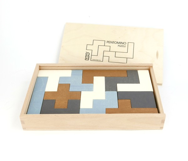 BAJO Pentomino Pastell | Holzspielzeug Profi